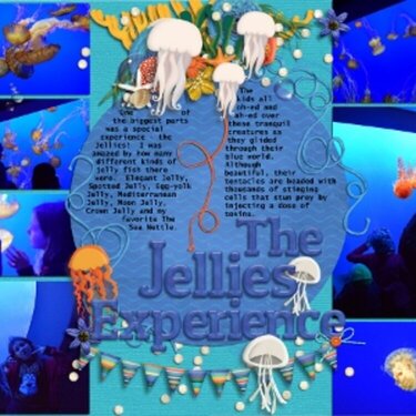 The Jellies Experience