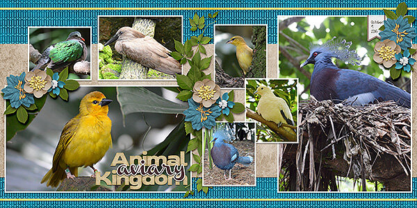 aviary