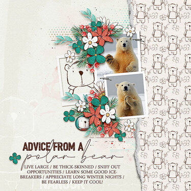 advice from a polar bear