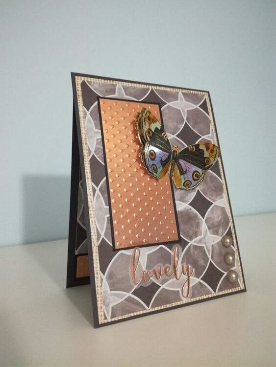 Copper butterfly card