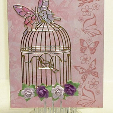 Butterfly cage