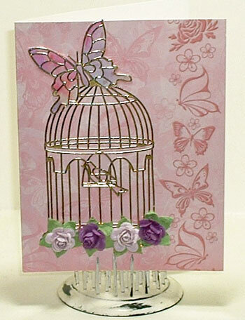 Butterfly cage