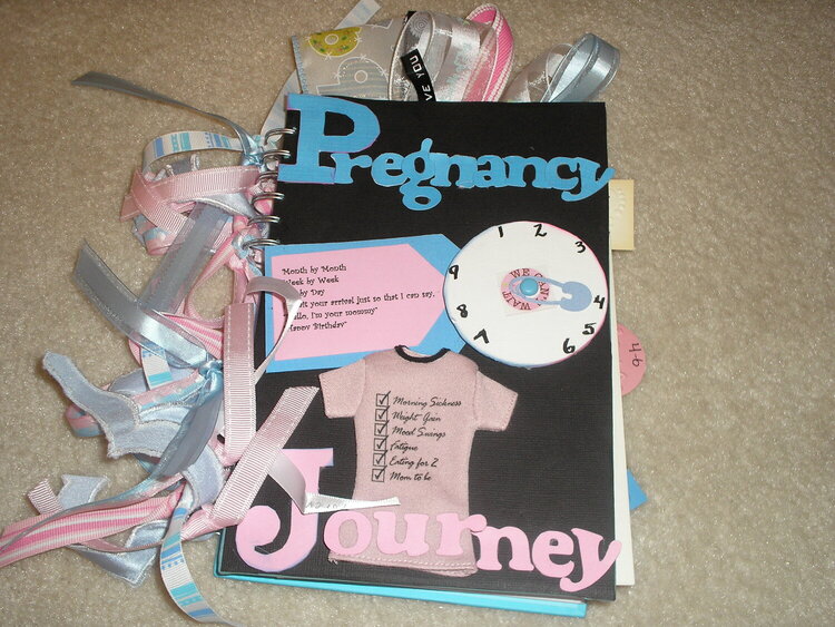 Pregnancy Journey (Journal) Cover