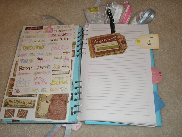 Pregnancy Journal-Inside Page