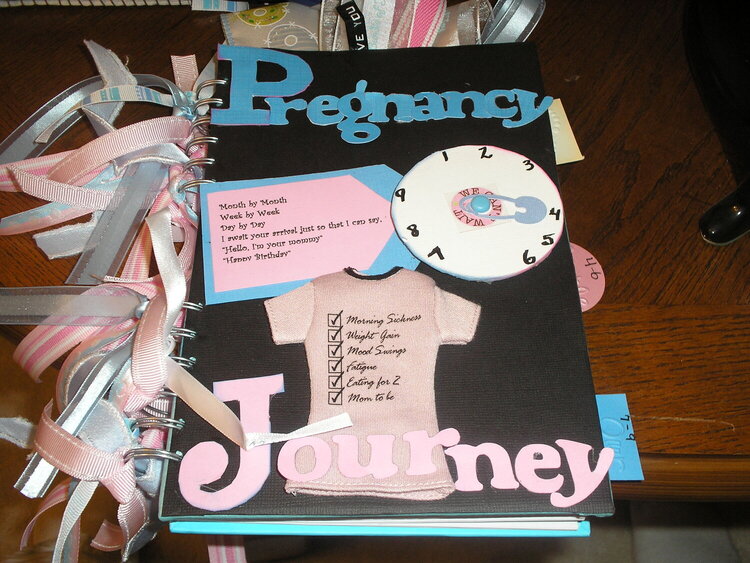 Pregnancy Journal--Cover