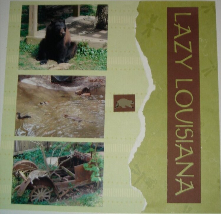 Audubon Zoo (Page 1)