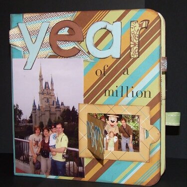 Year of a Million Slide Book Cover