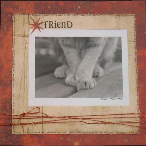 Friend, Tiger&#039;s Life 1986-2005