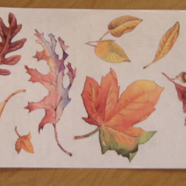 Trade - Fall Leaves Stickers