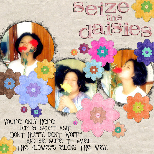 Seize The Daisies