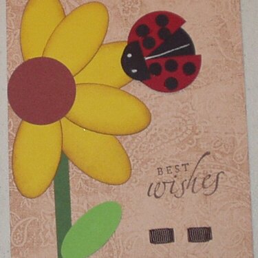 Sunflower Card with Ladybug