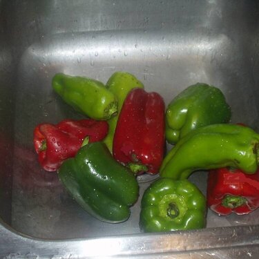 #10-peppers-5 points