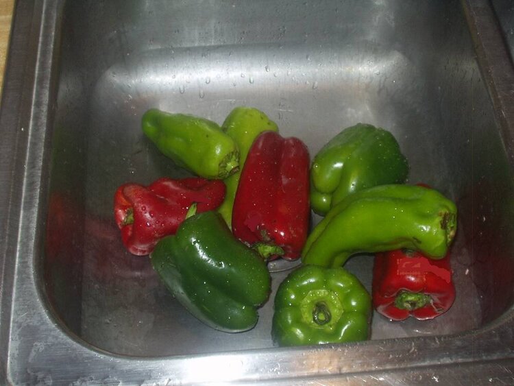 #10-peppers-5 points