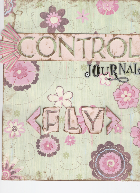 Control Journal Cover