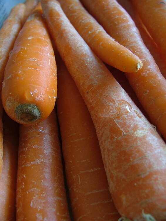 APC - Carrots