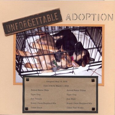Adoption I