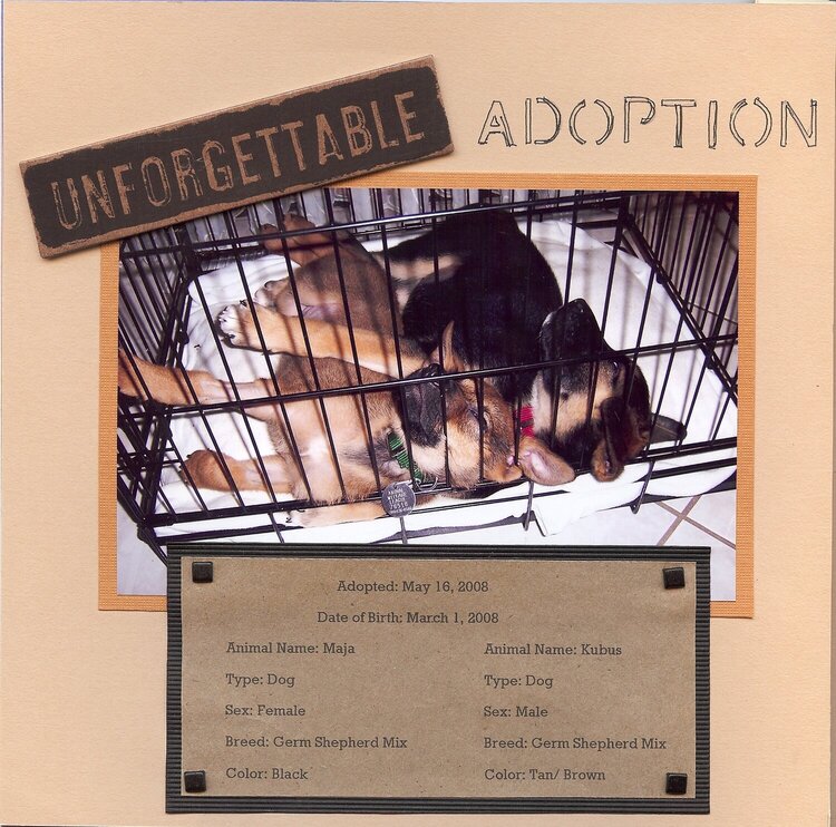 Adoption I