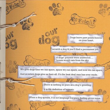 Dog Book Cover