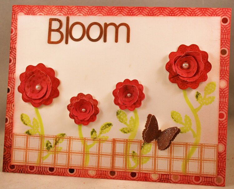 Bloom