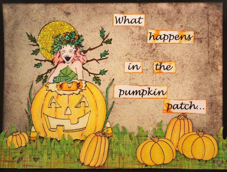 What Happens In The Pumpkin Patch...