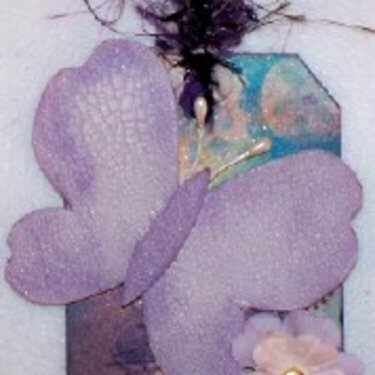 BUTTERFLY TAG