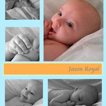 Jaxon&#039;s collage