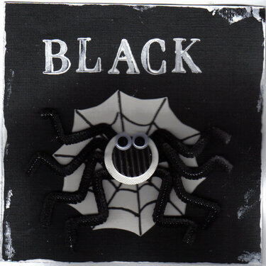 Black Spider 6 x 6