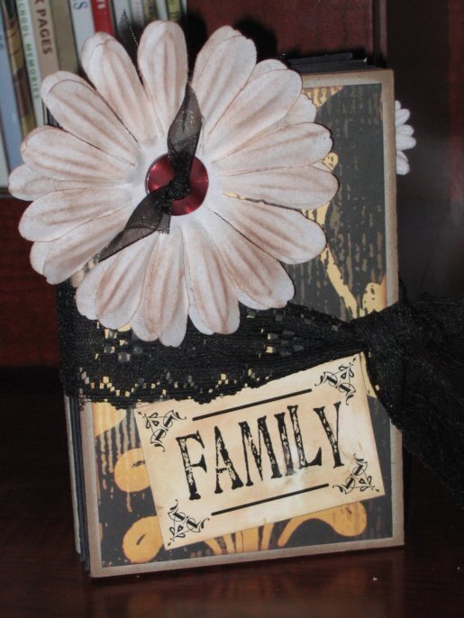 ~*~ Rusty Pickle Accordian Album ~*~