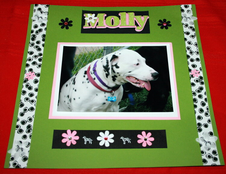 Molly ( Dalmation)