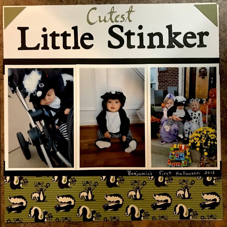 Cutest Little Stinker