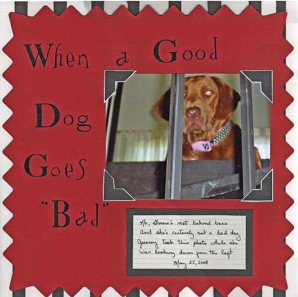 Bad Dog and Elmo Card  DW 6/08