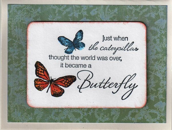 CG, Butterfly Card