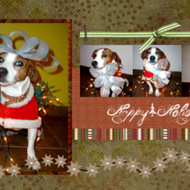 Another christmas card for our family