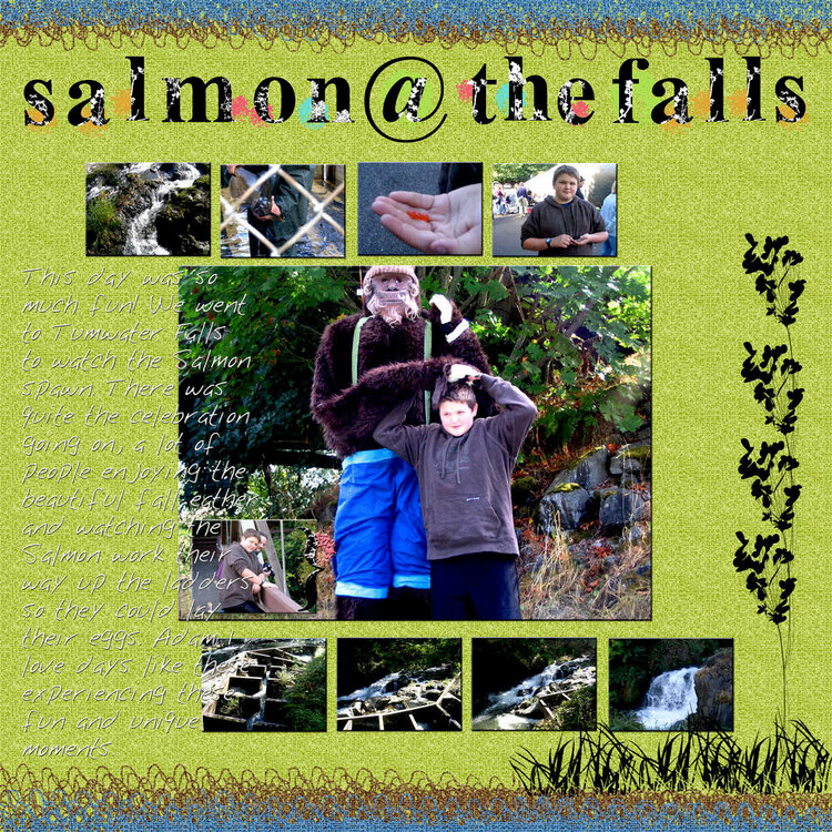 salmon @ the falls