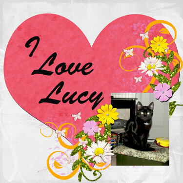 I love lucy