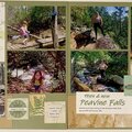 Peavine Falls Then and Now