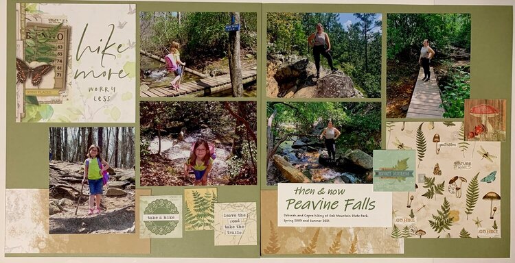 Peavine Falls Then and Now