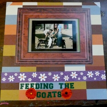 Feeding the Goats
