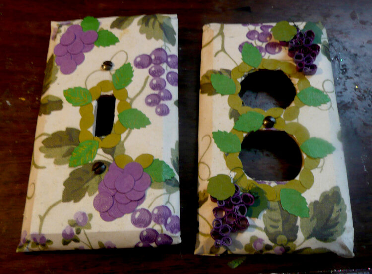 Altered light and outlet covers
