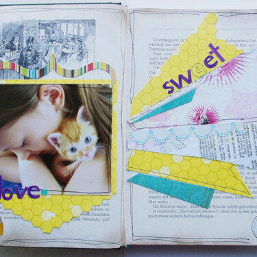 History of my cat - altered book