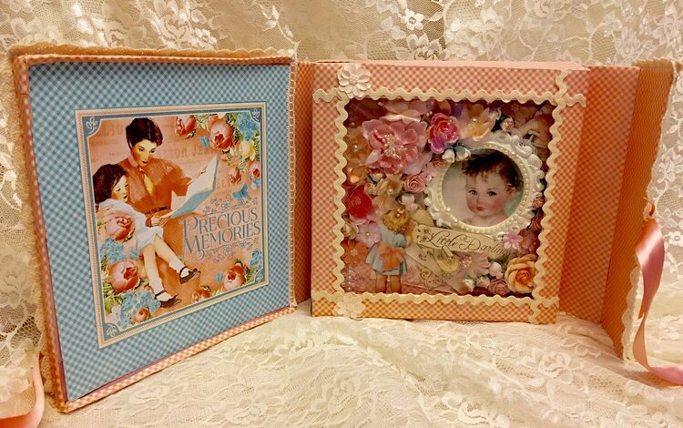 Mini Album In A Display Box