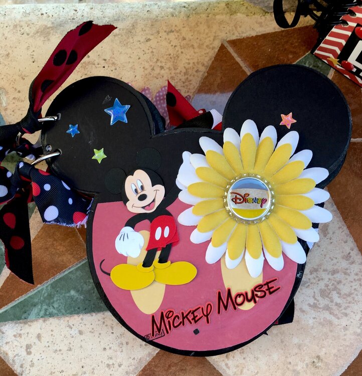 Reversable Mickey Mouse Album