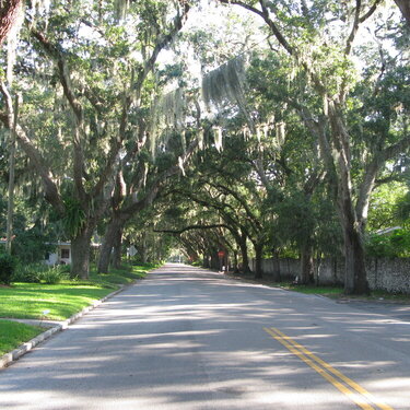 5th most beautiful Avenues in the USA