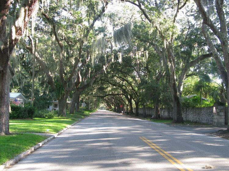 5th most beautiful Avenues in the USA