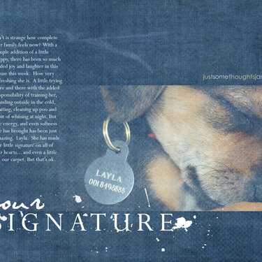 Layla&#039;s Signature