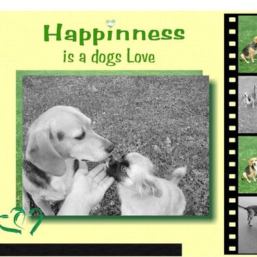 Happinness is a dogs love