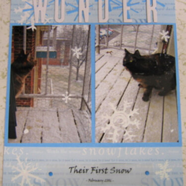 Kitties&#039; First Snow