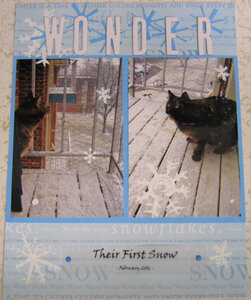 Kitties&#039; First Snow