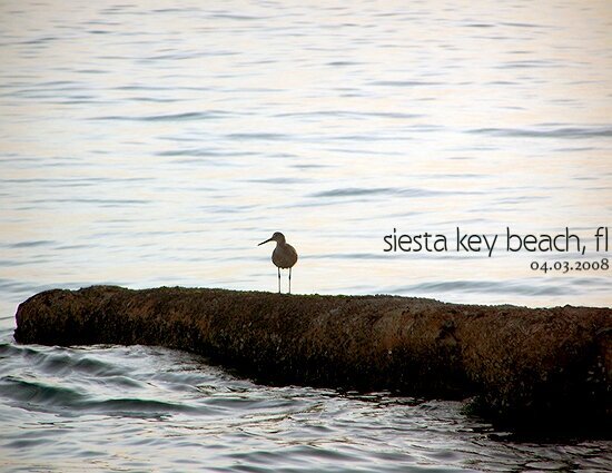 siesta key beach, fl