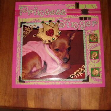 Princess Ginger